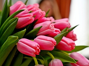 План мероприятий